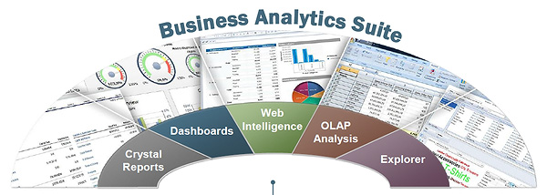 Business Analytics Suite