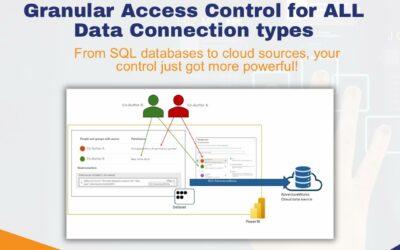 Granular Access Control for All Data Connection Types