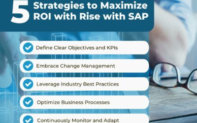 5 Strategies to Maximize ROI with Rise with SAP