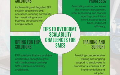 Tips to Overcome Scalability Challenges for SMES