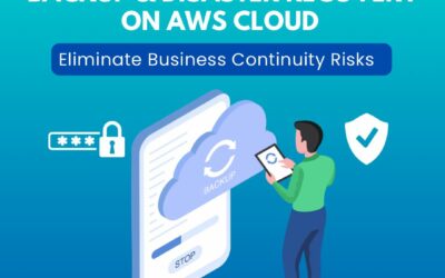 Backup & Disaster Recovery on AWS Cloud