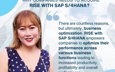 Why Companies Needs to Acquire RISE with SAP S4/HANA?