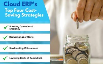 Cloud ERP’s Top 4 Cost-Saving Strategies