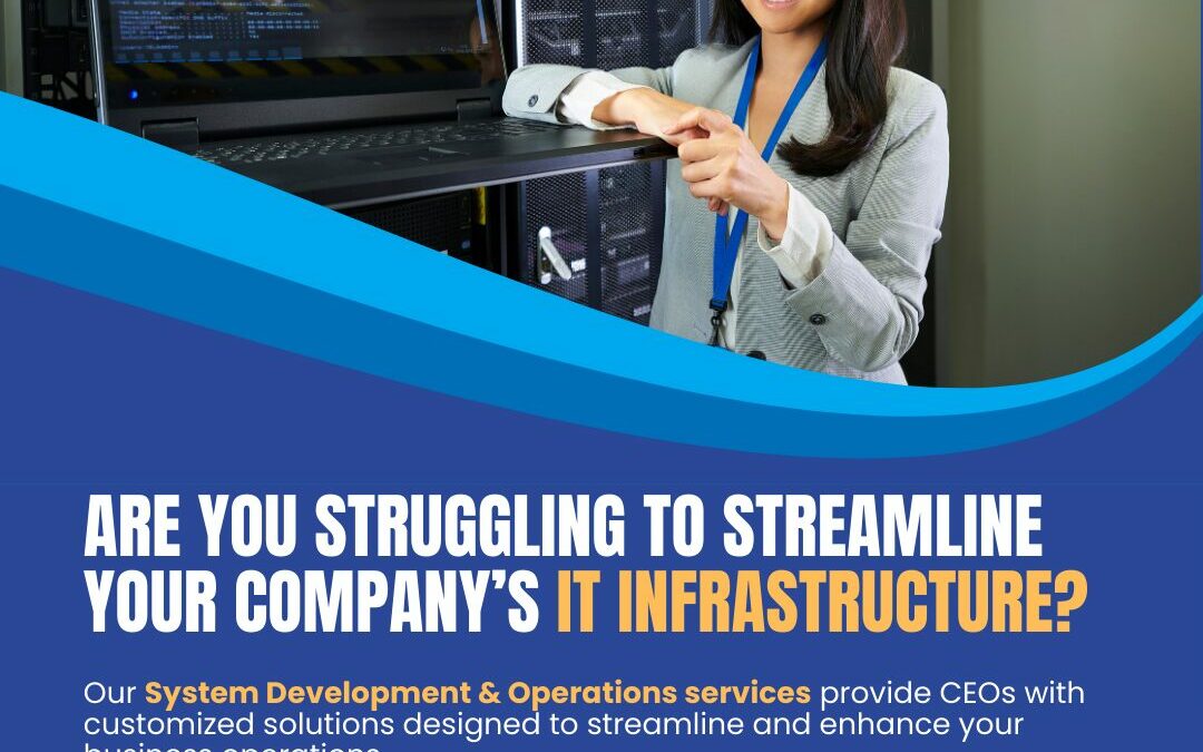 Our System Development & Operations services offer the perfect solution