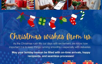 may all your packages arrive on time, your processes stay smooth, and your holiday be stress-free.